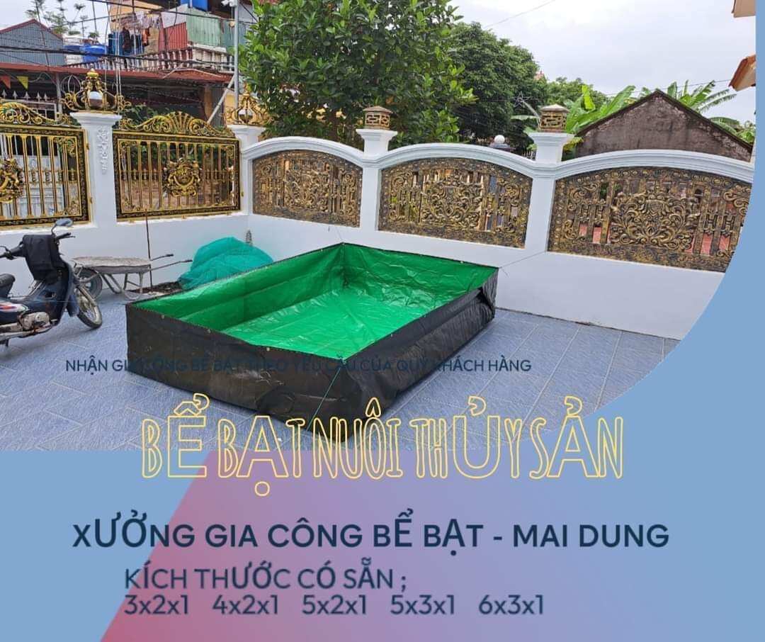 Bể bạt nuôi ốc ếch , cá lươn - loại xanh bộ đội