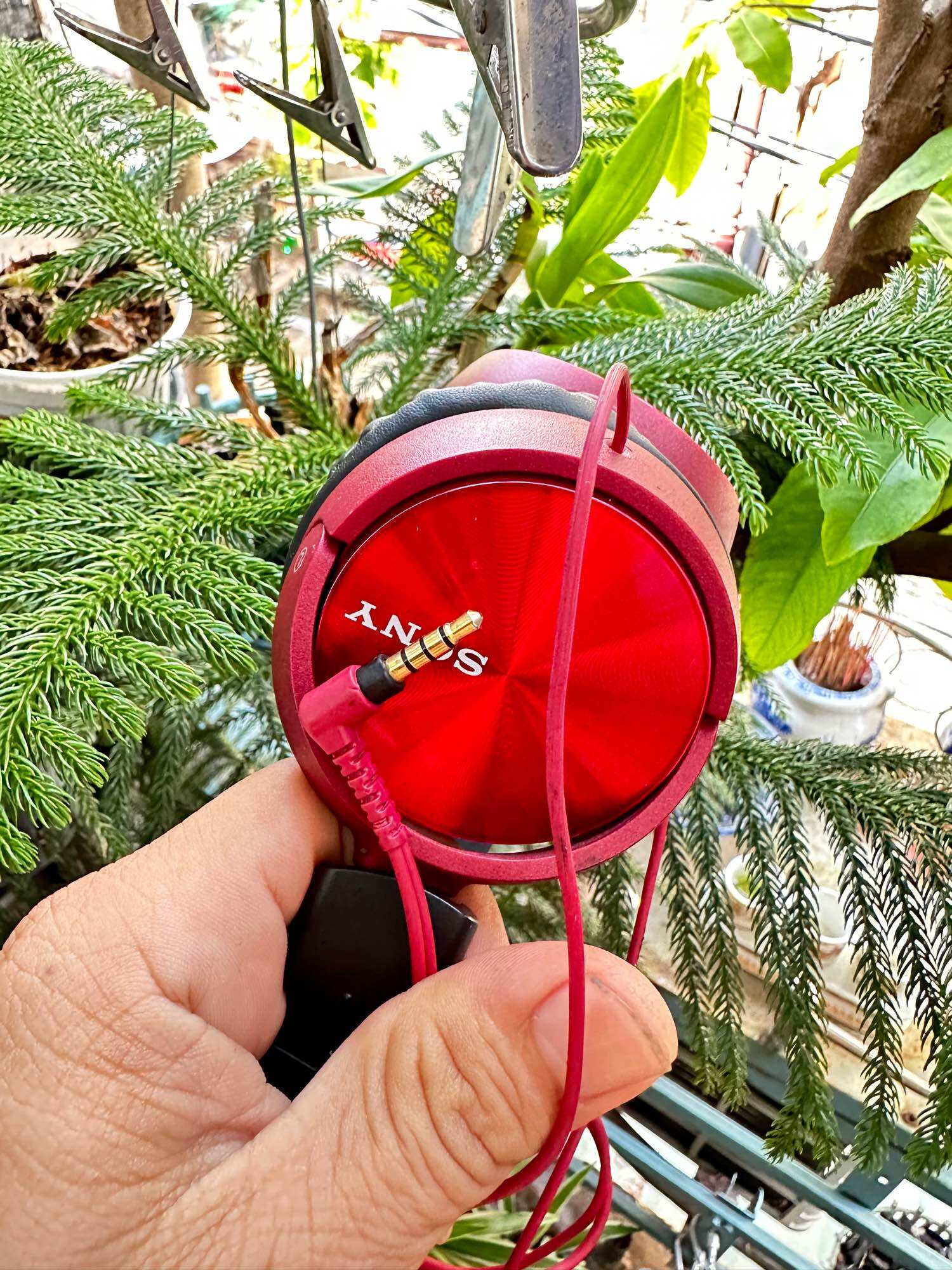 Tai nghe sony hàng si nhật