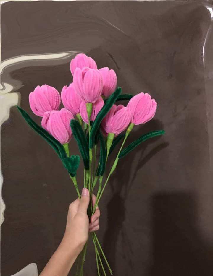 Hoa tulip kẽm Nhung