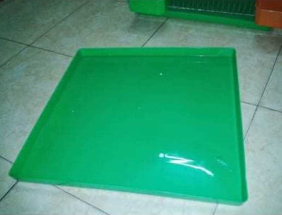Khay hứng phân chim,phân gà 50x50,phụ kiện phương169