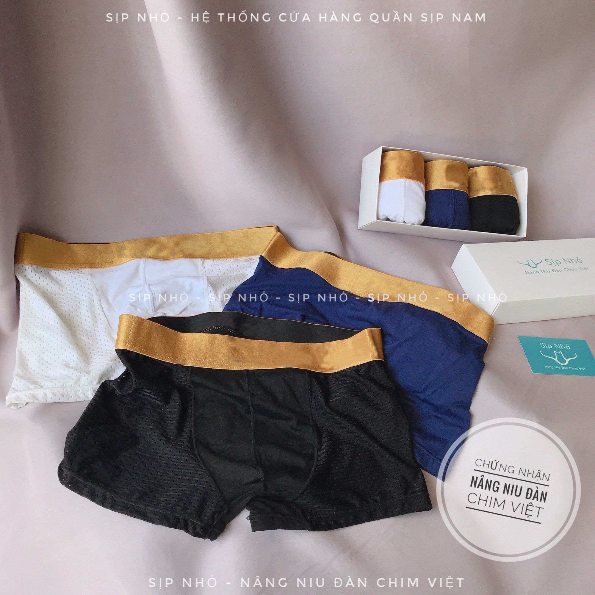 Combo 3 quần sịp lưới C6 siêu thoải mái và thoáng mát, Boxer cao cấp màu lưng nổi bật