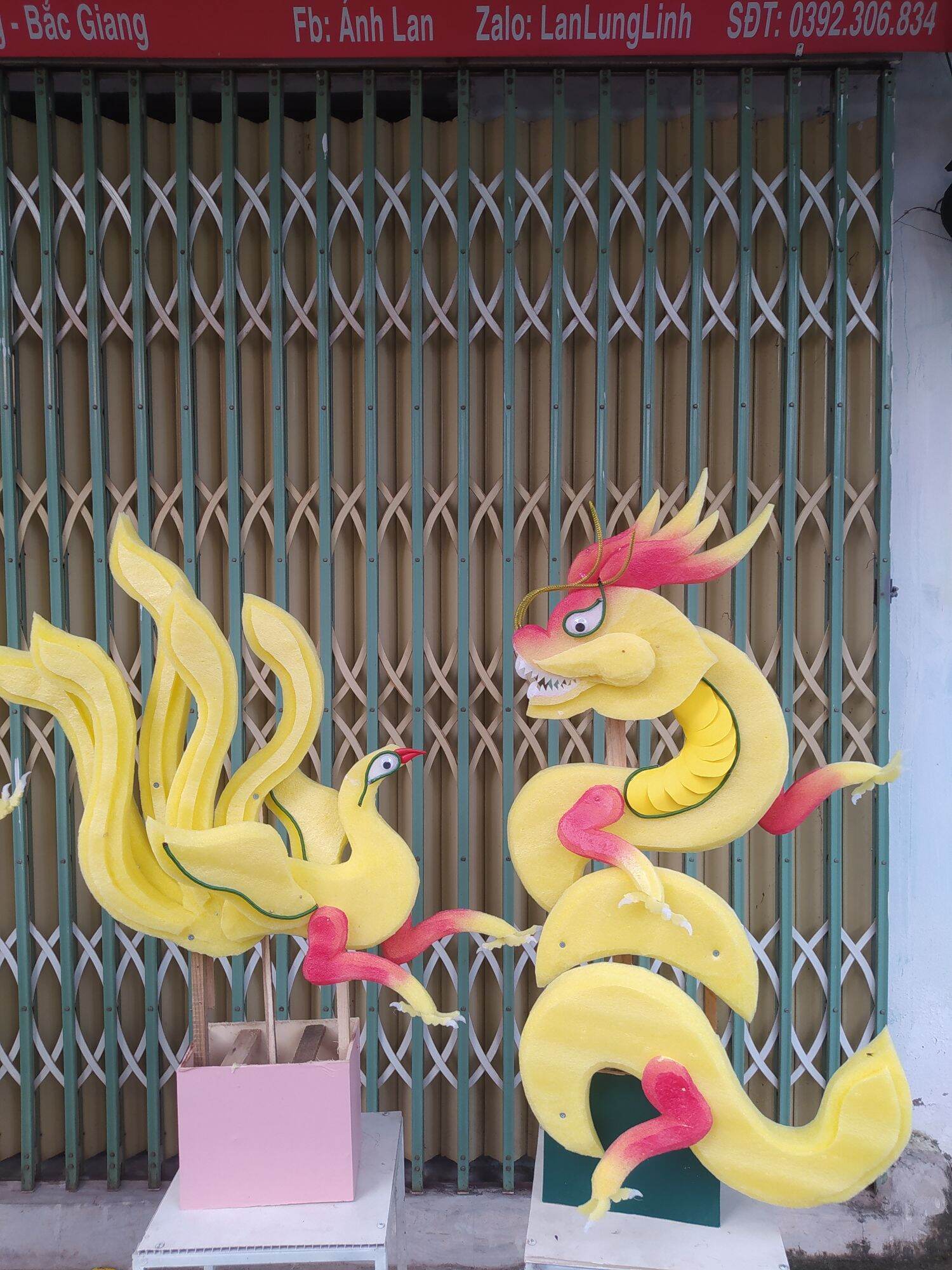 cốt rồng phượng 5 đuôi