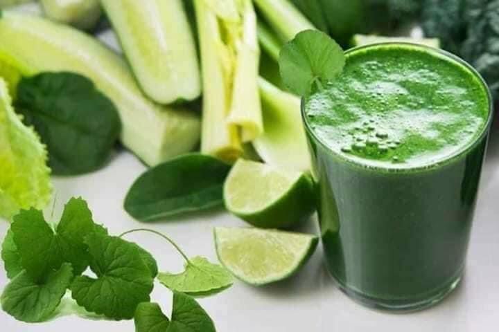 BỘT RAU MÁ - SẤY LẠNH - NGUYÊN CHẤT 500Gr