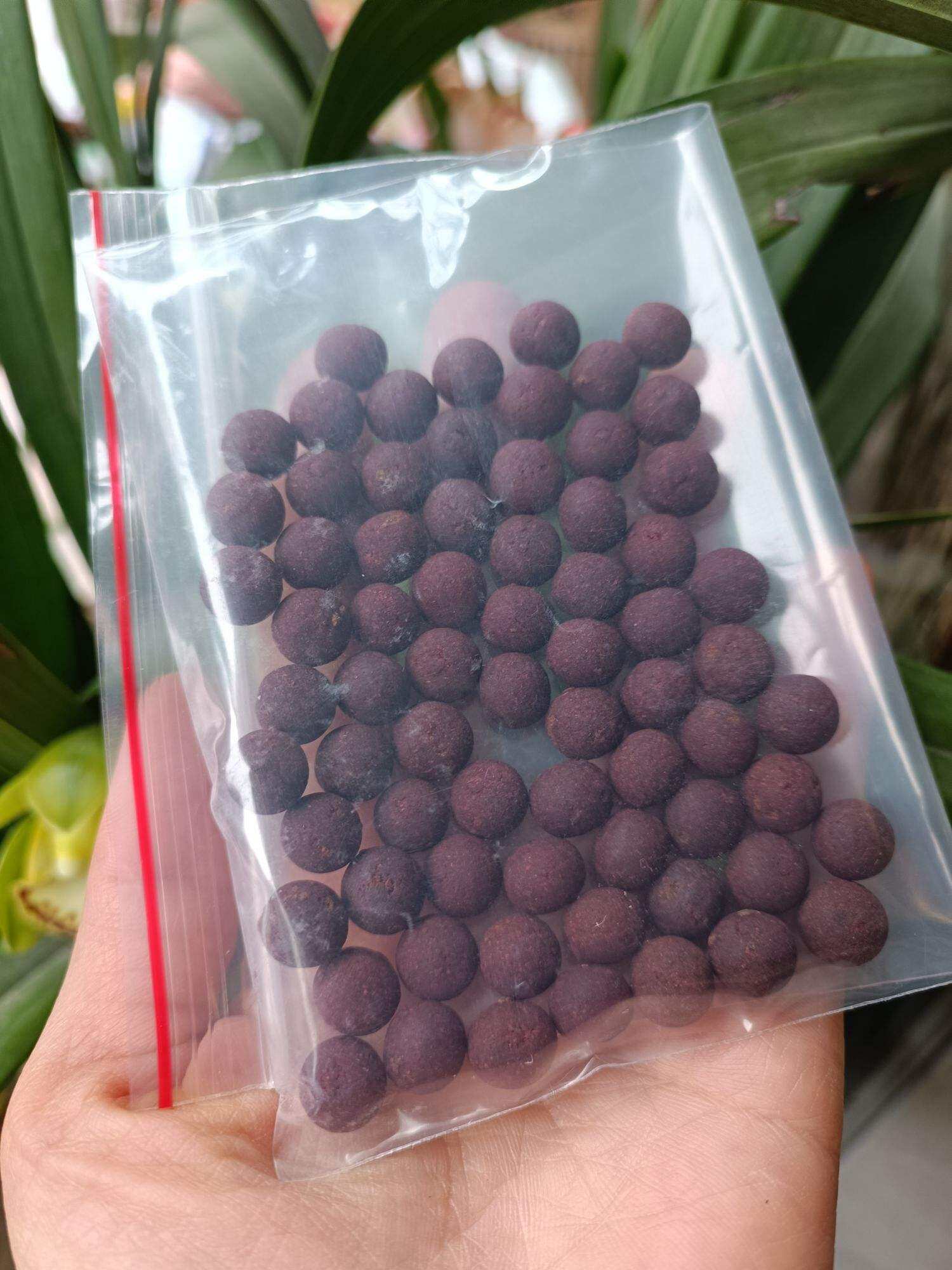 Pháp dược trường thọ Larung Gar