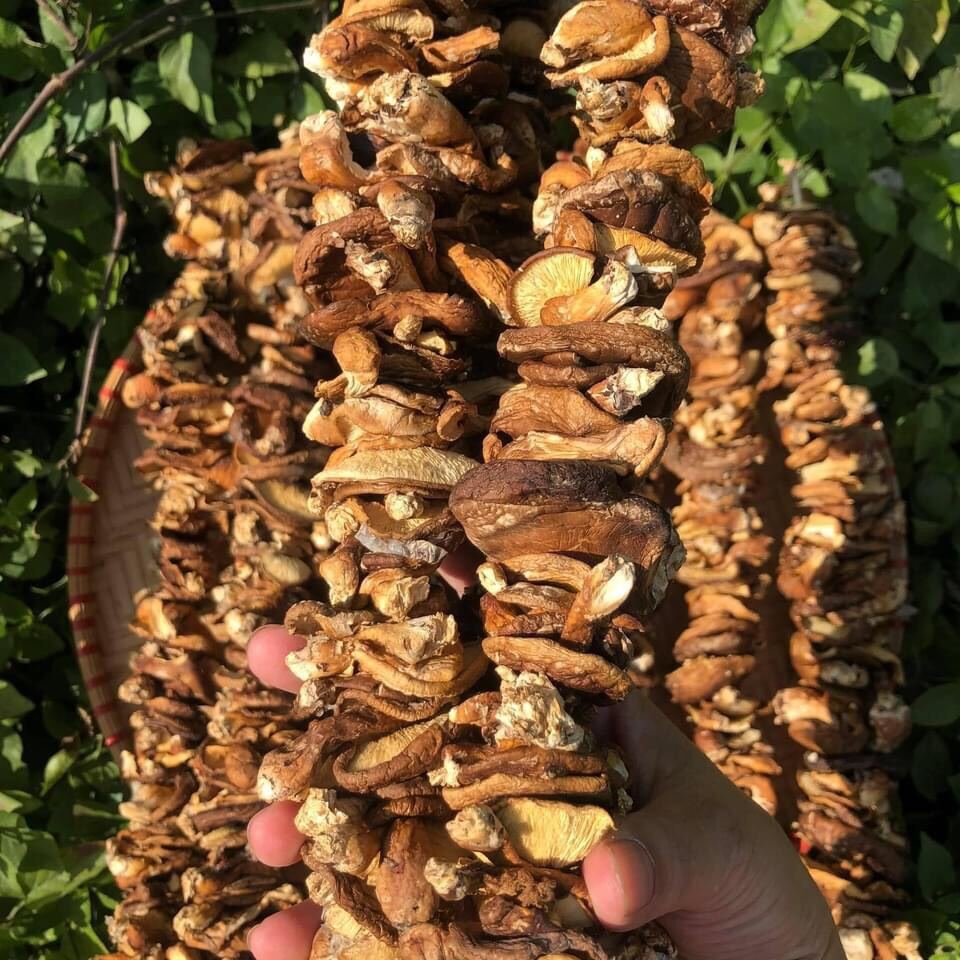 Nấm hương rừng  500gram