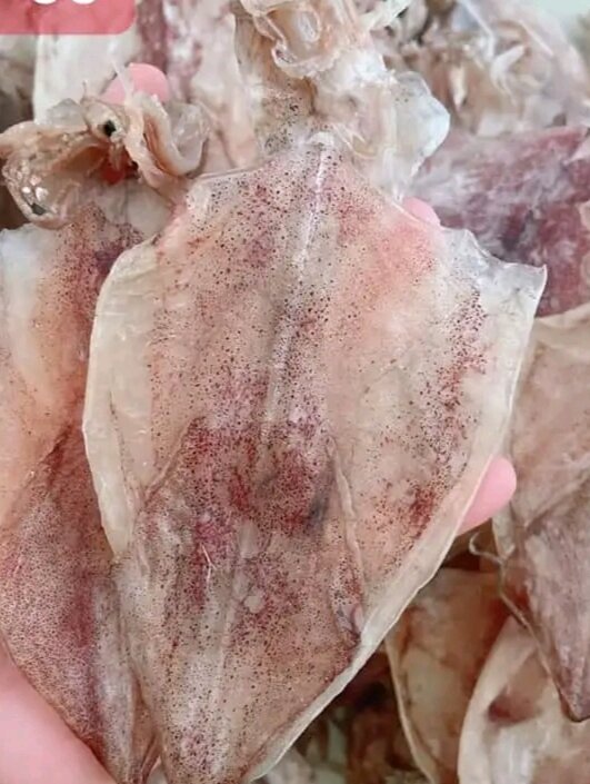 KHÔ MỰC 500gr loại 50_55c 1kg