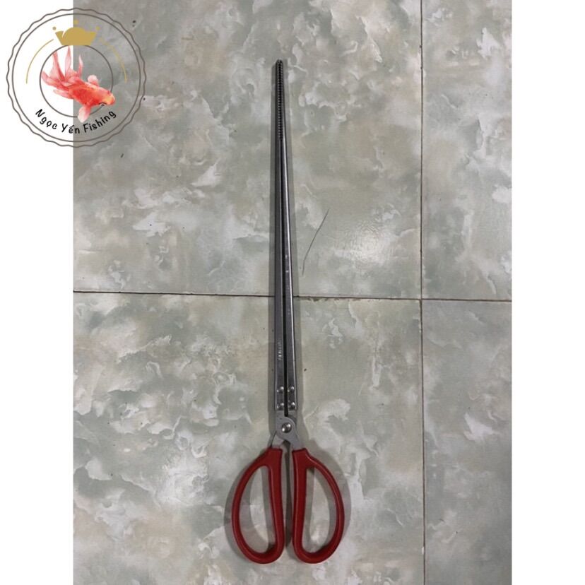 Dụng cụ kẹp lươn - kéo kẹp lươn