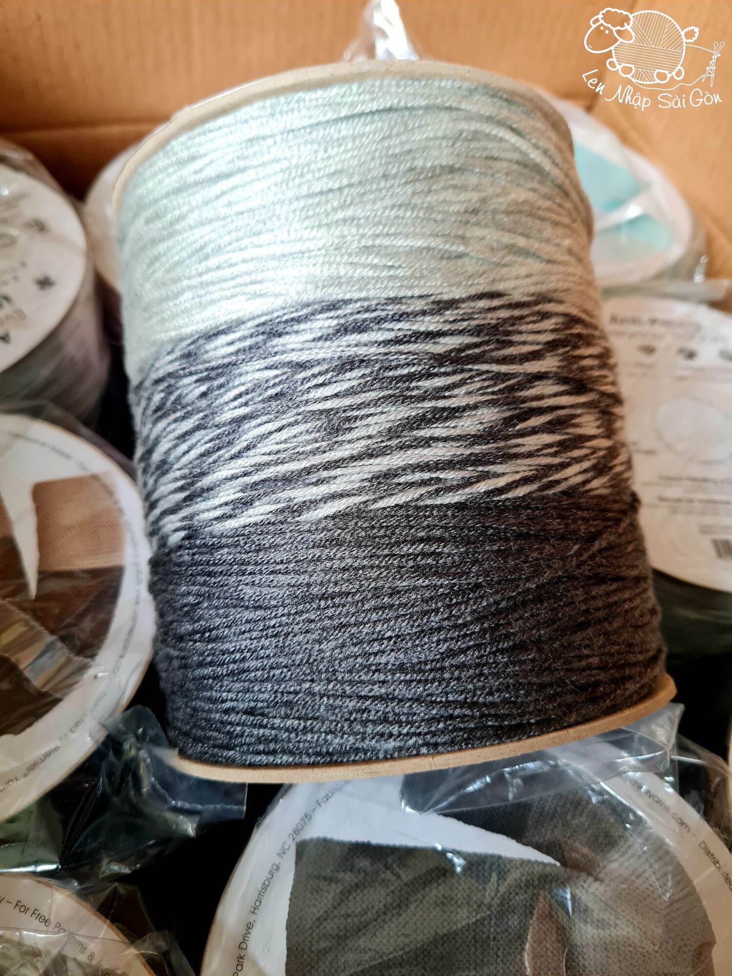 Len Bobbins USA Mỹ - @lennhapsaigon