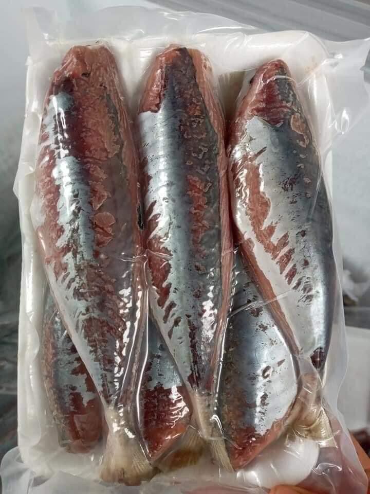 1kg CÁ NỤC 1 nắng (hoả tốc 2h tphcm)