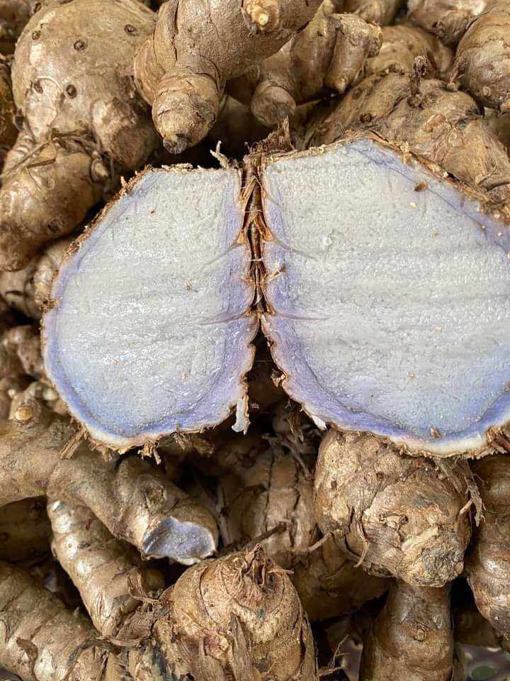 500g nghệ đen tươi chuẩn rừng. hàng mới có sẵn