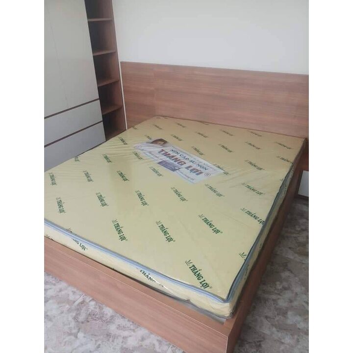 Nệm cao su non thắng lợi ( 1m4x2mx10cm)