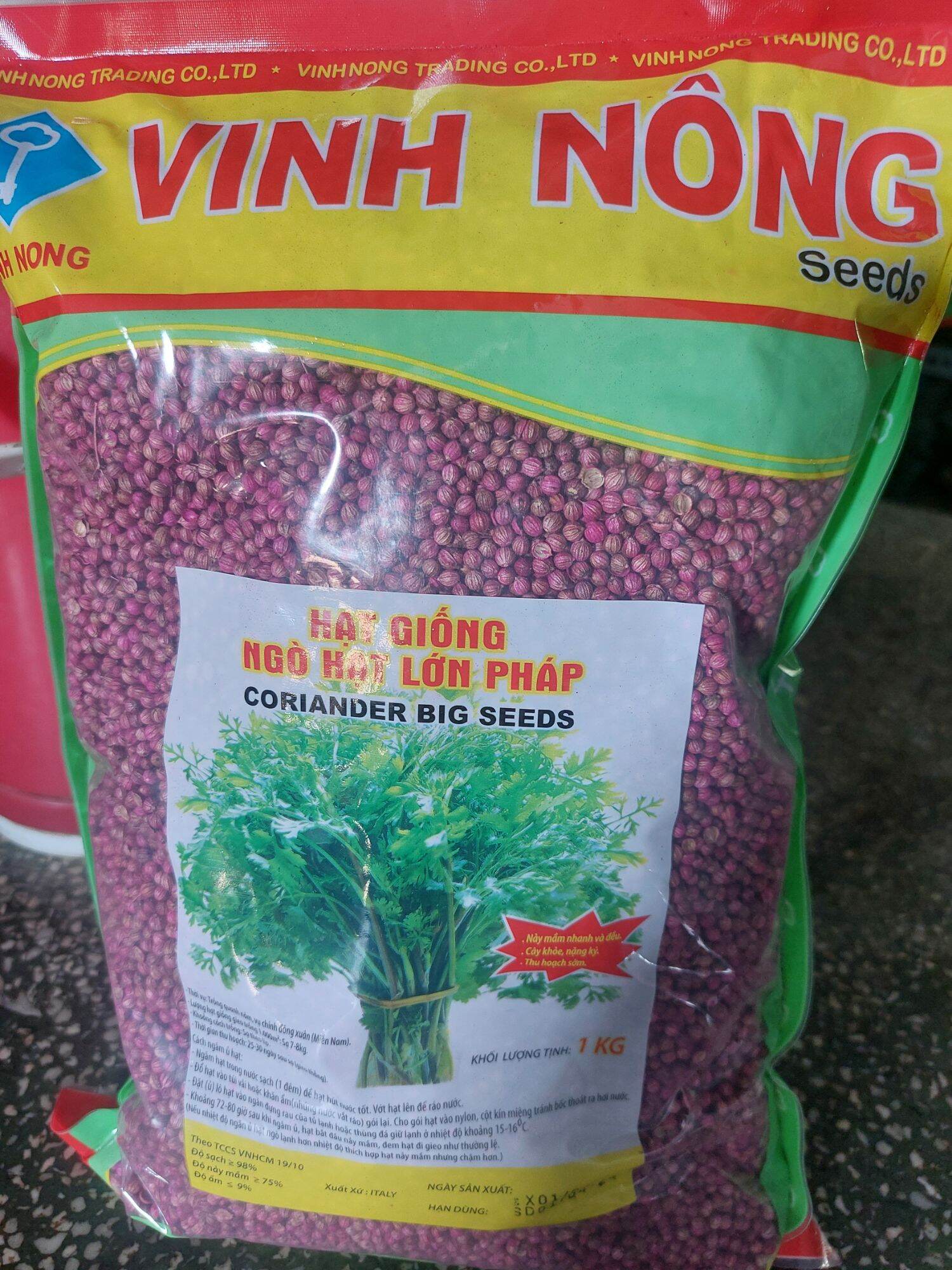 1kg hạt giống ngò rí pháp_ vinh nông, năng suất cao