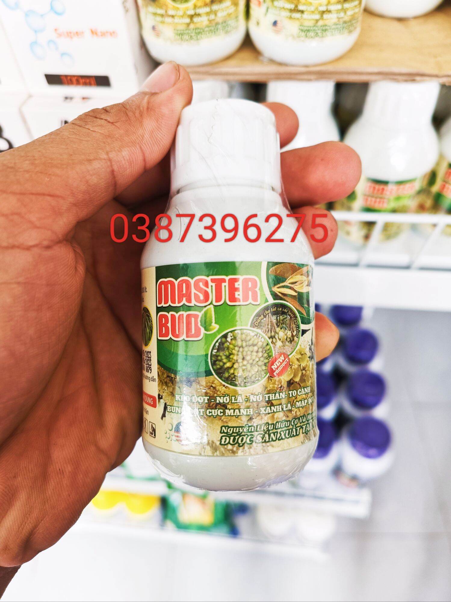 Master bud - kéo đọt - mập đọt - nở lá - nở thân - to cành