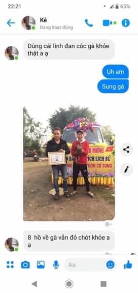 Linh Đan Cóc - Mồi cho chiến kê