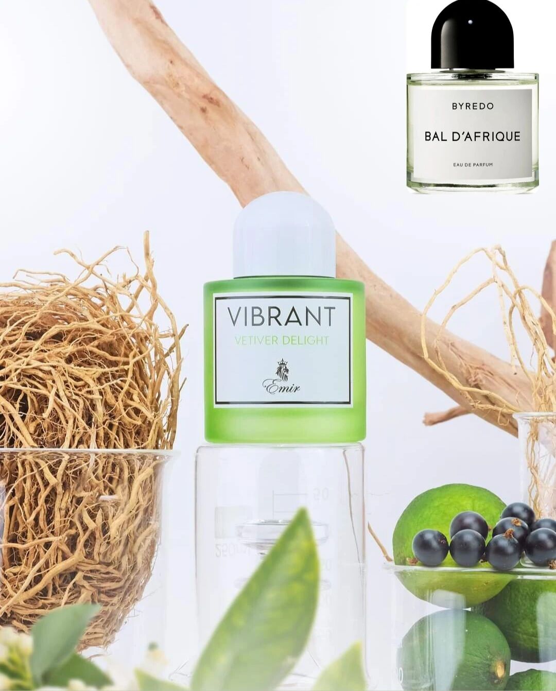 Nước hoa vibrant vetiver delight của paris coner