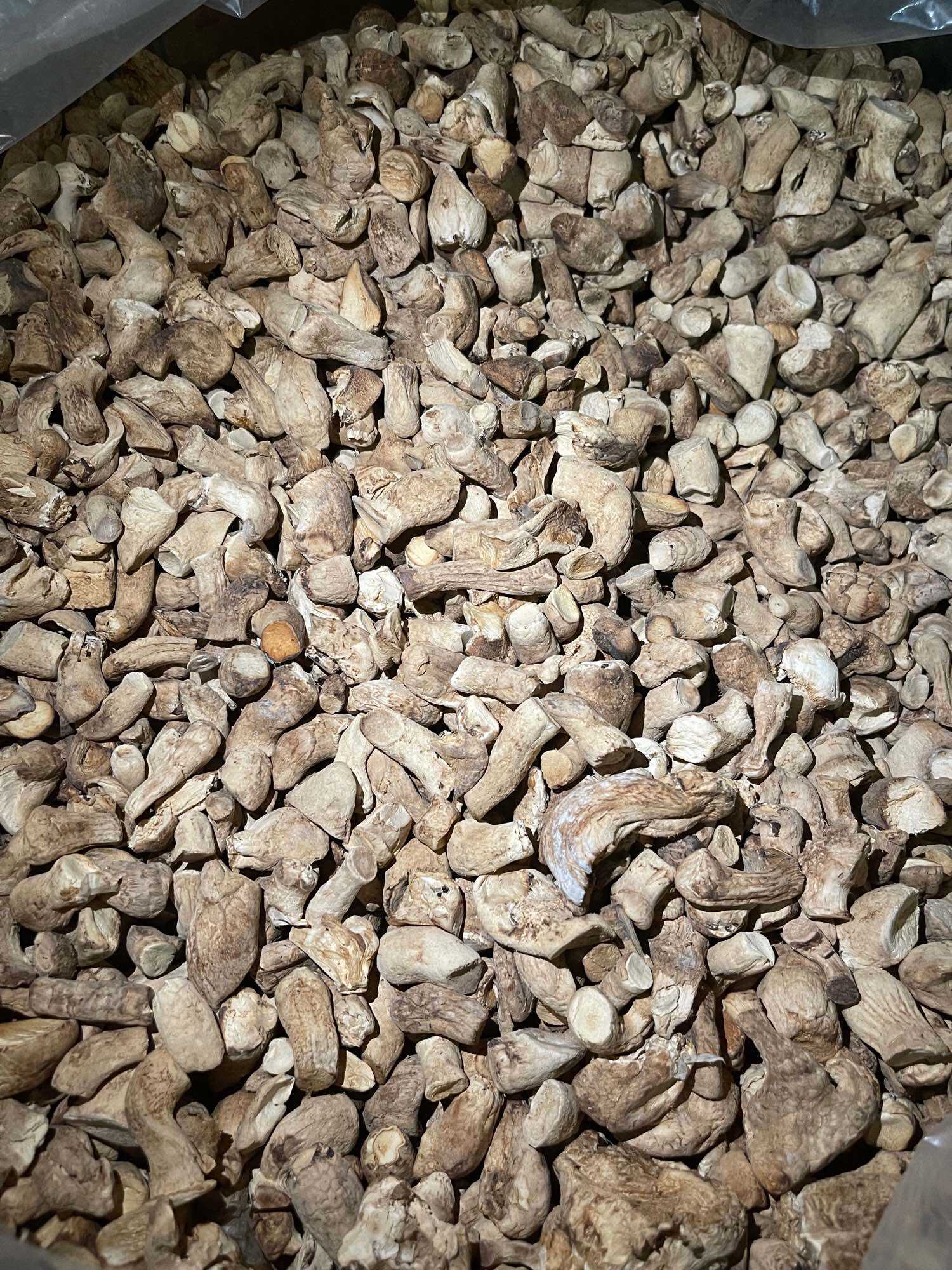 1KG chân nấm khô