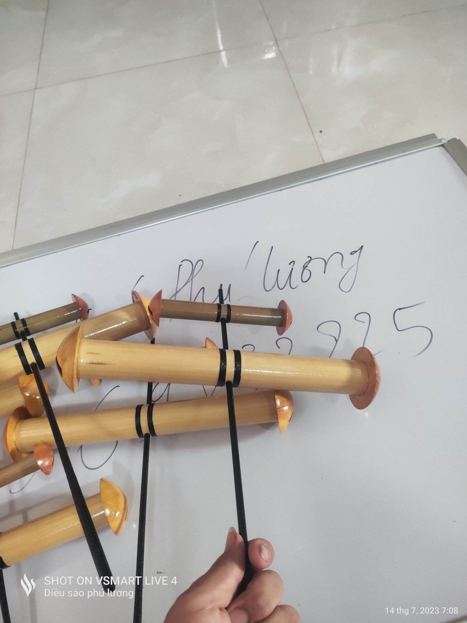 Sáo diều còng còi d35