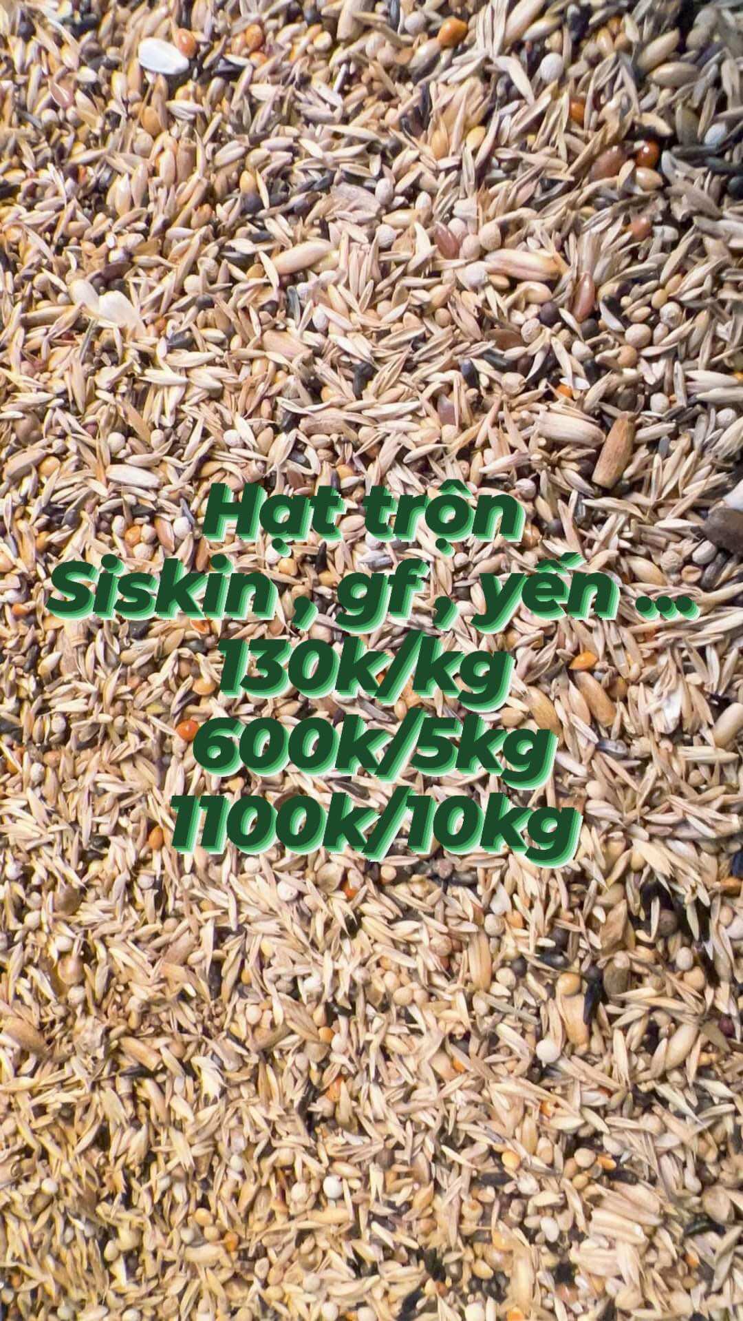 Hỗn hợp hạt trộn hoàn chỉnh dành cho siskin - goldfinch & tất cả các dòng chim sẻ - chim yến hót gói chiết lẻ 1kg