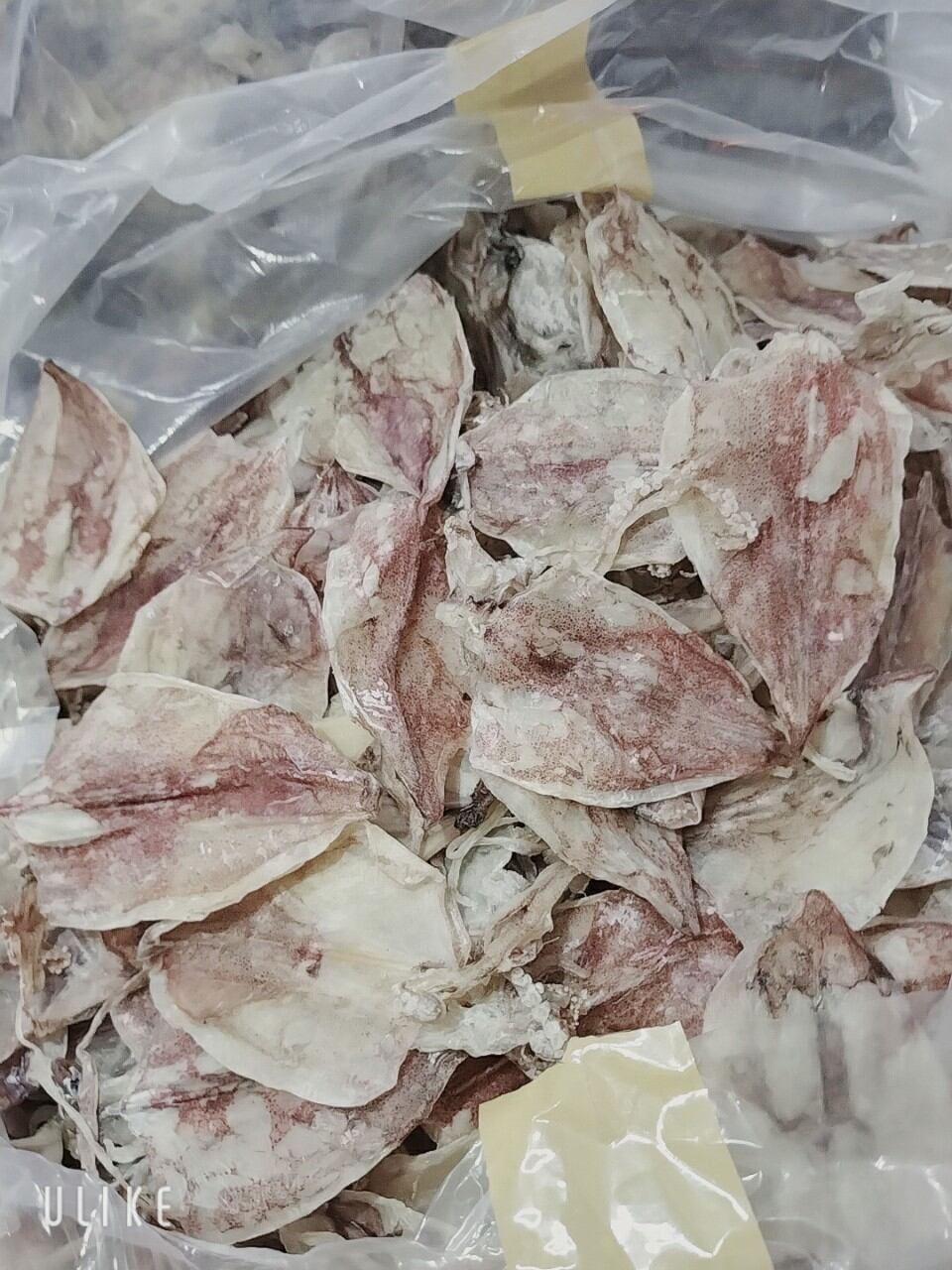 khô mực nhỏ 500gam