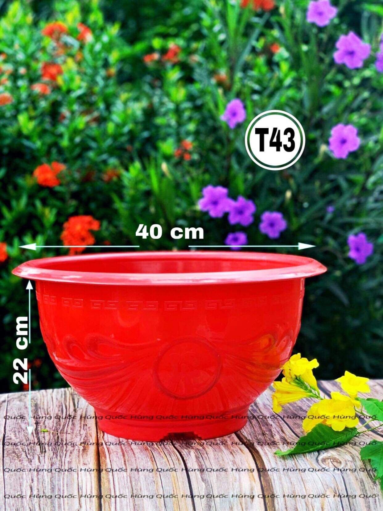 [ 5 Cái ] Chậu nhựa trồng cây T43