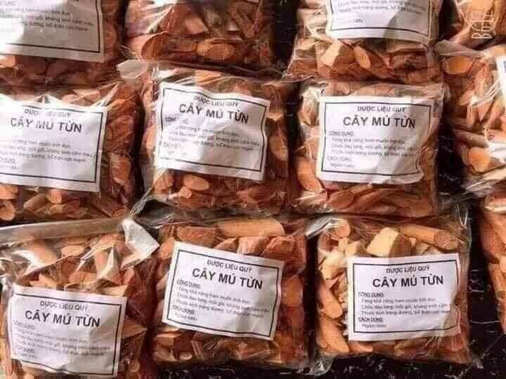 Cây mú từn