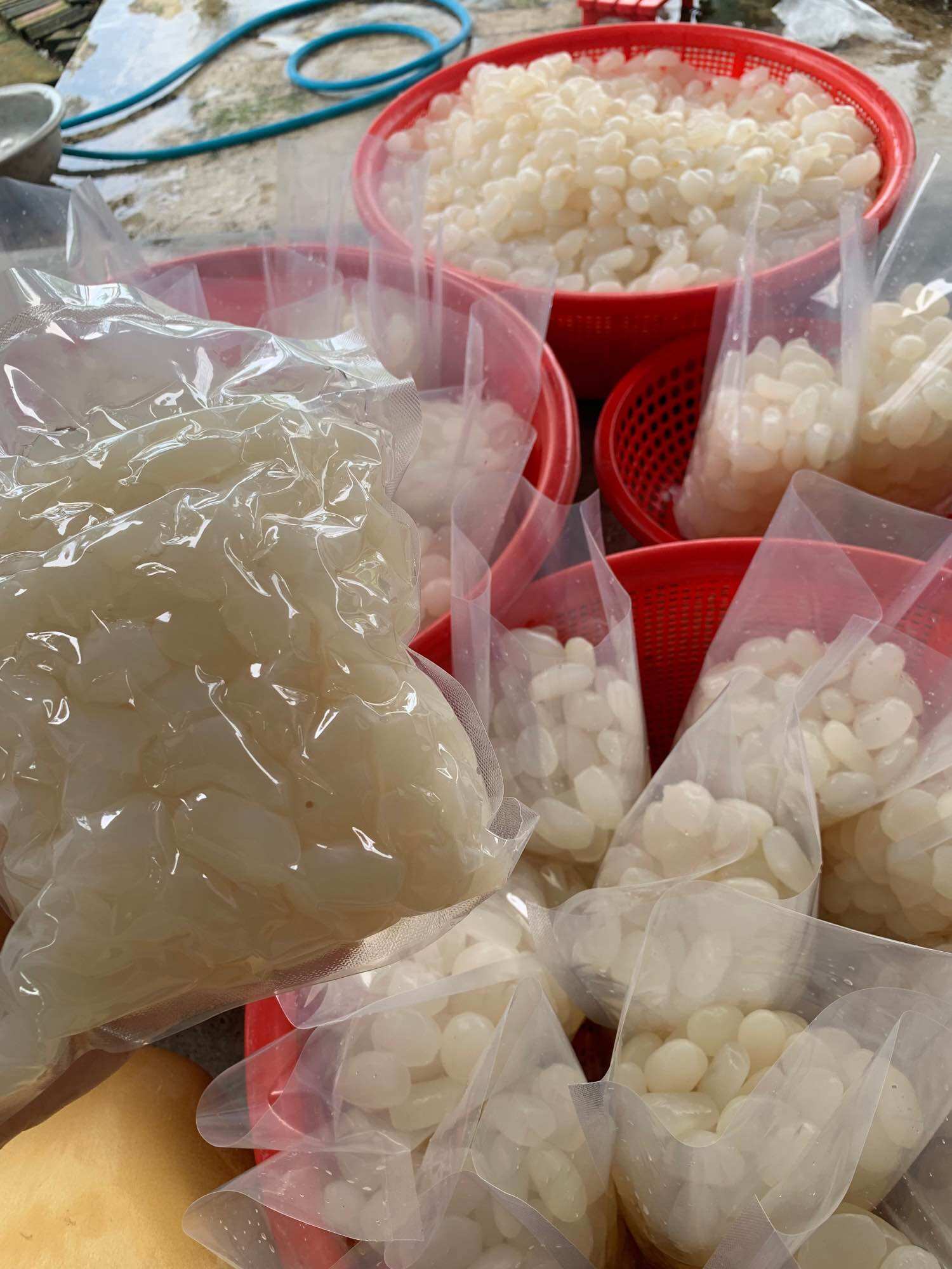 1kg Hạt Đác Tươi Nha Trang Size Trung Mềm Dẻo Không Cứng( Có Hút Chân không)
