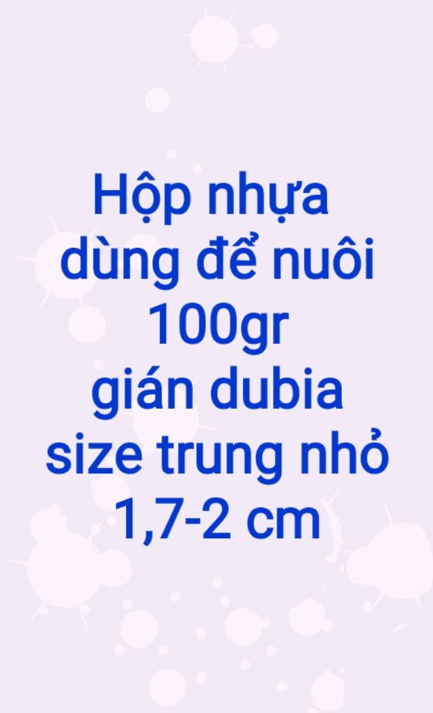 Hộp nhựa dùng để nuôi 100g gián dubia size trung nhỏ 1,7-2,5cm.