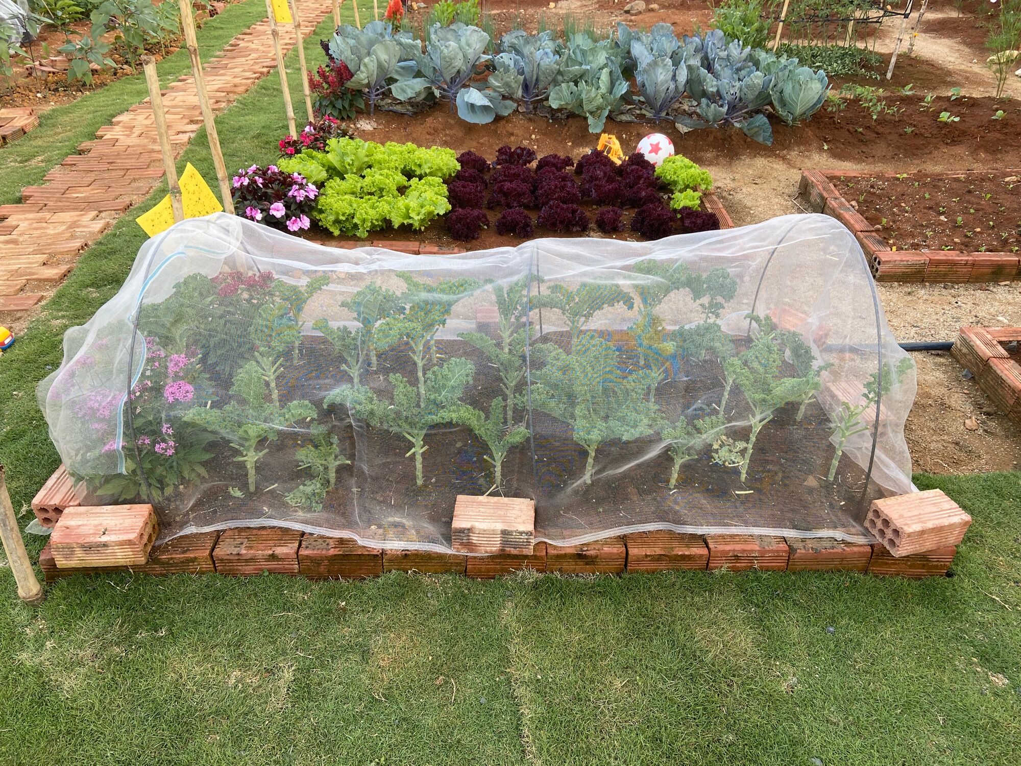 Lưới Mùng Che Chắn Côn Trùng Bảo Vệ Cây Trồng Khổ 1m-1m8