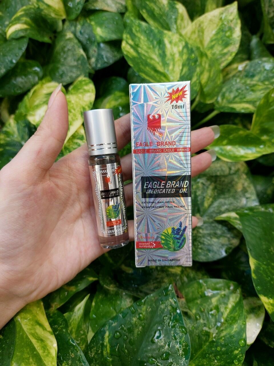 Dầu gió trắng con ó dạng lăn 10ml/chai