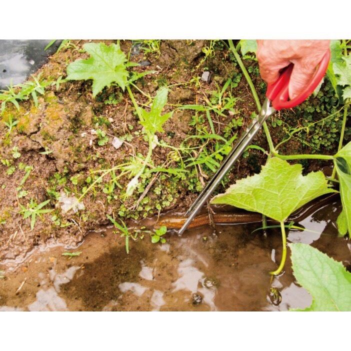 Kẹp bắt lươn rắn - hải sản cua ghẹ