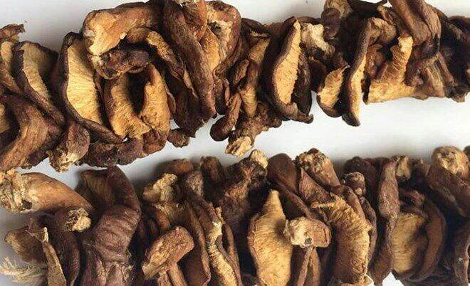 500g nấm hương rừng