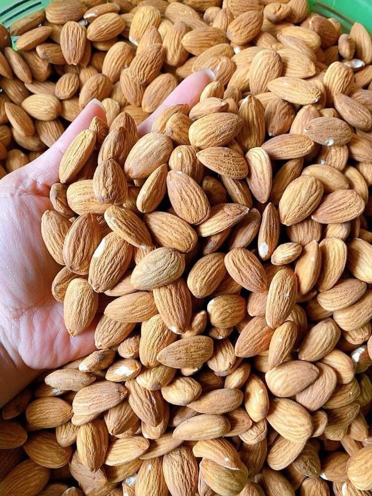 500G Hạt hạnh nhân Mỹ đã sấy chín