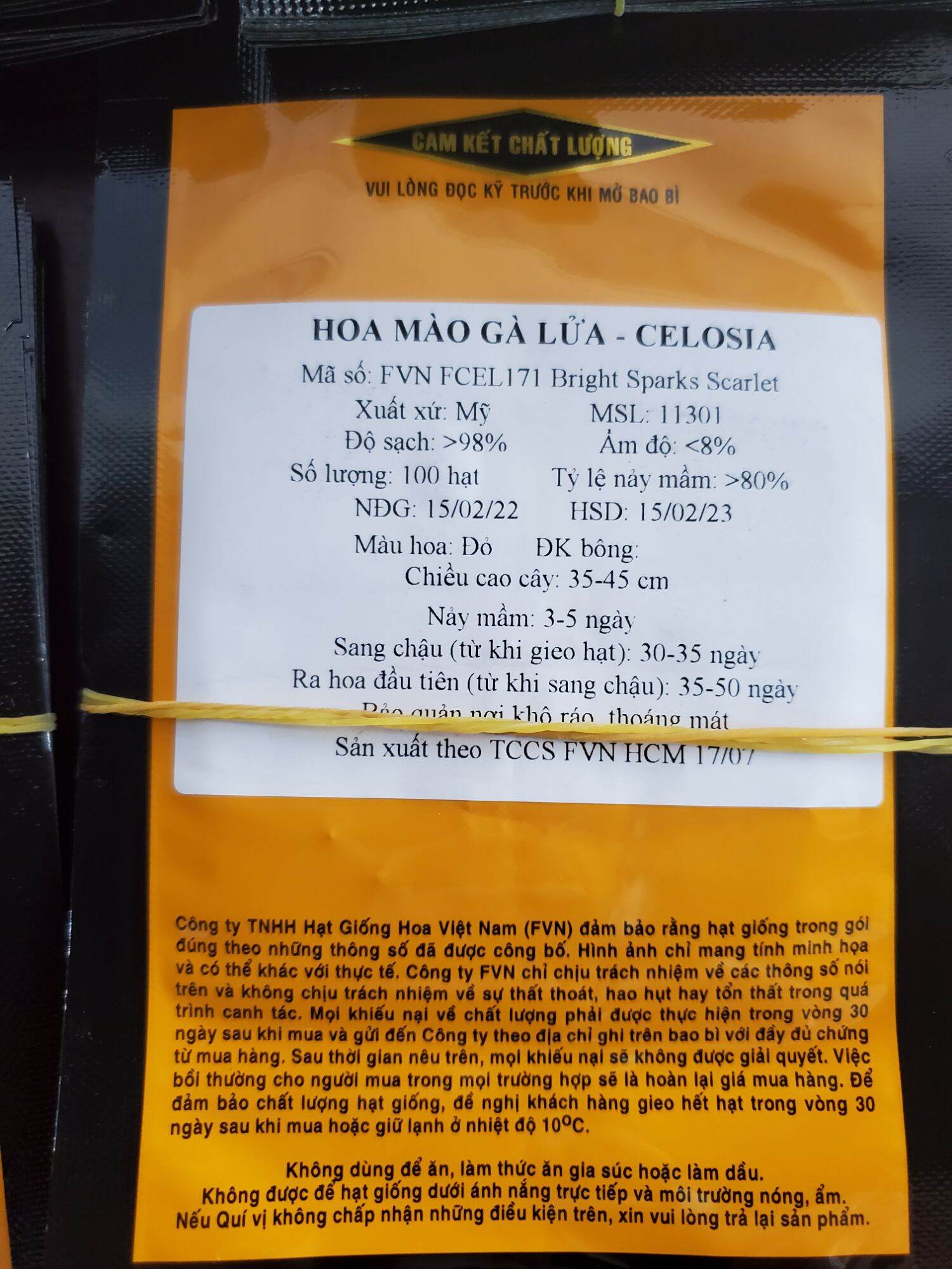 mào gà FVN