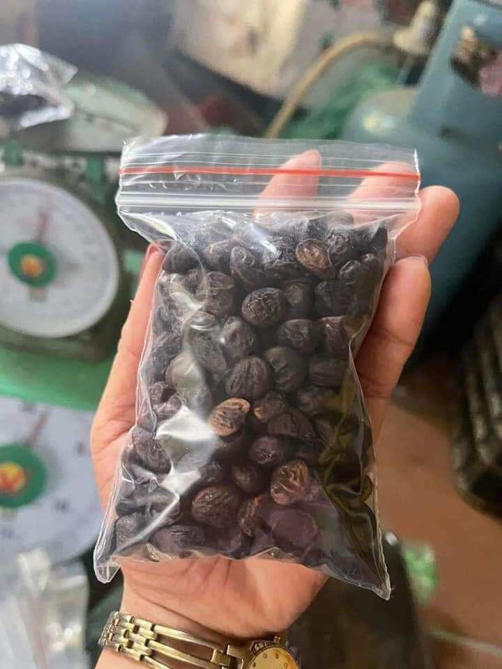 HẠT DỔI NẾP TÂY BẮC.