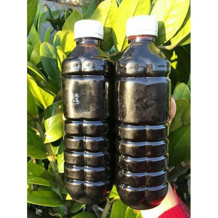 Nước màu dừa nguyên chất Bến Tre chai 500ml