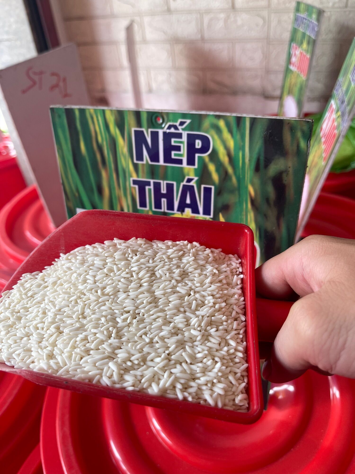 Nếp Thái
