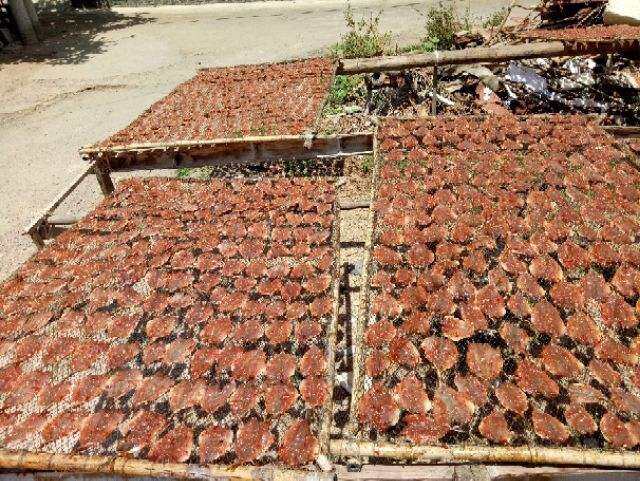 500gr Cá nục Nhí ướp tẩm gia vị Ninh Thuận