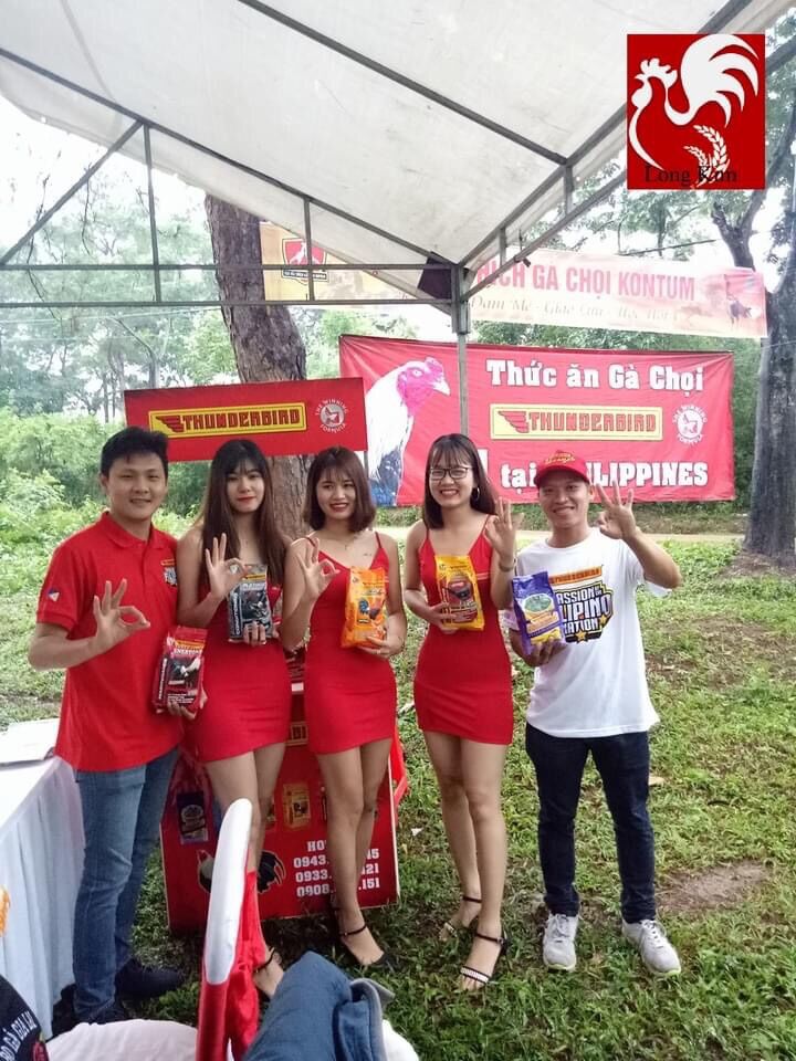 Stag Developer Thunderbird - Cám gà con từ 1 - 4 tháng