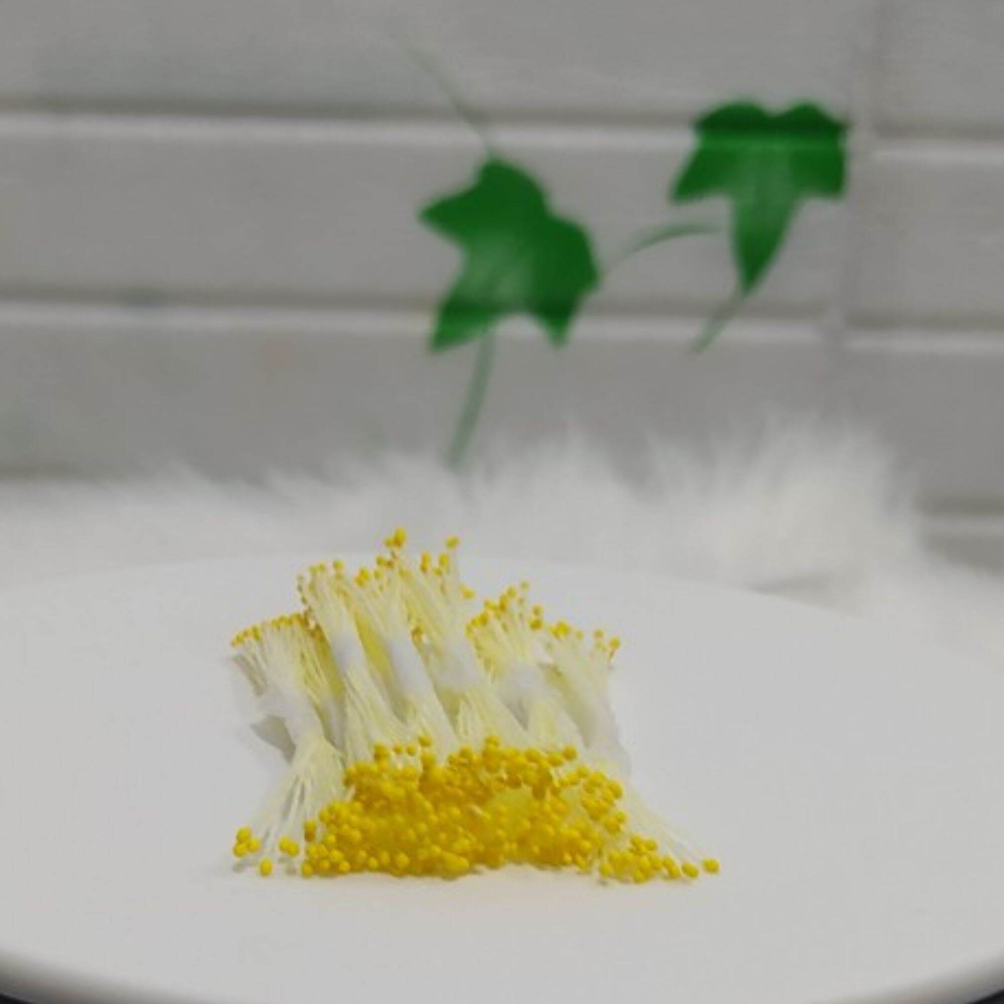 Nhụy làm hoa bằng lăng và các loại hoa handmade khác