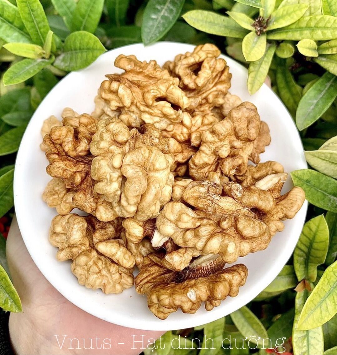 500gr nhân quả óc chó nếp óc chó vàng sấy chín nguyên vị giòn thơm ngon