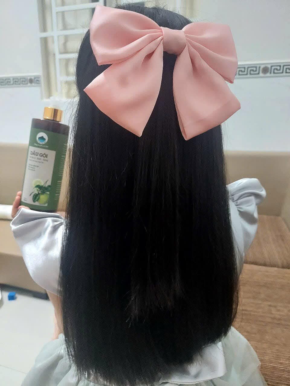 Dầu gội Hà Thủ Ô-Bưởi - Gừng