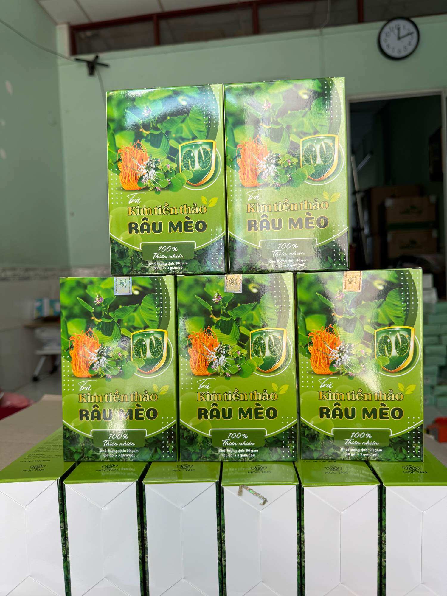 Combo 5 hộp Trà kim tiền thảo râu mèo 30 túi lọc
