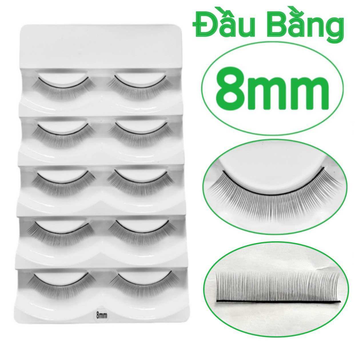 Mi tập nối 5 cặp và 10 cặp