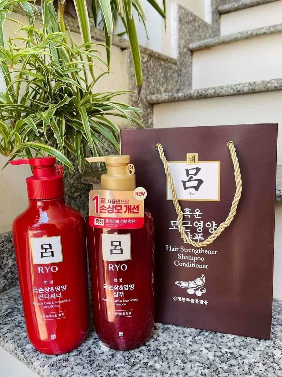 Dầu gội xả nhân sâm Ryo