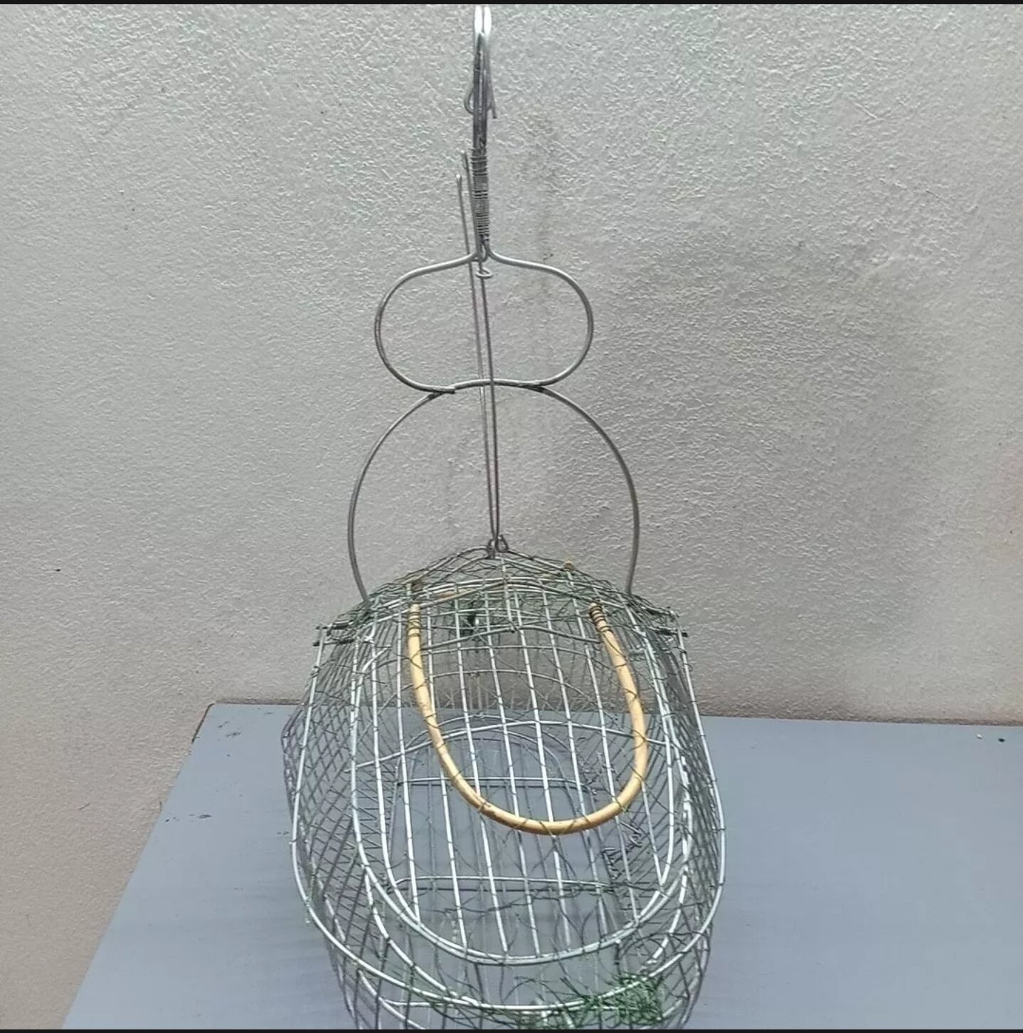bẫy chim khuyên, sâu, bẫy chim hút mật.
