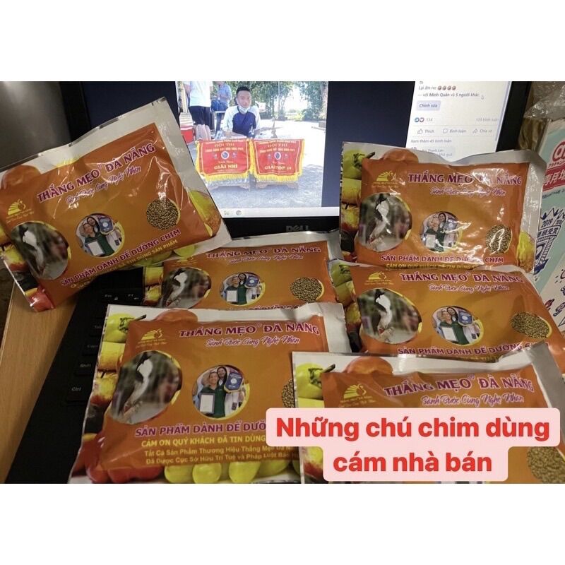 Cám Dưỡng Chào Mào Thắng Mẹo