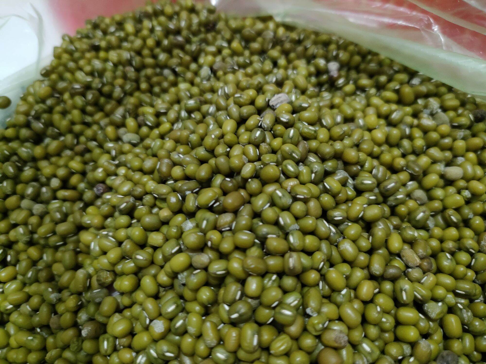 ĐẬU XANH ĐĂKLĂK 1KG làm giá - nấu chè...