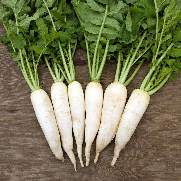 Hạt củ cải trắng gói 20 gram