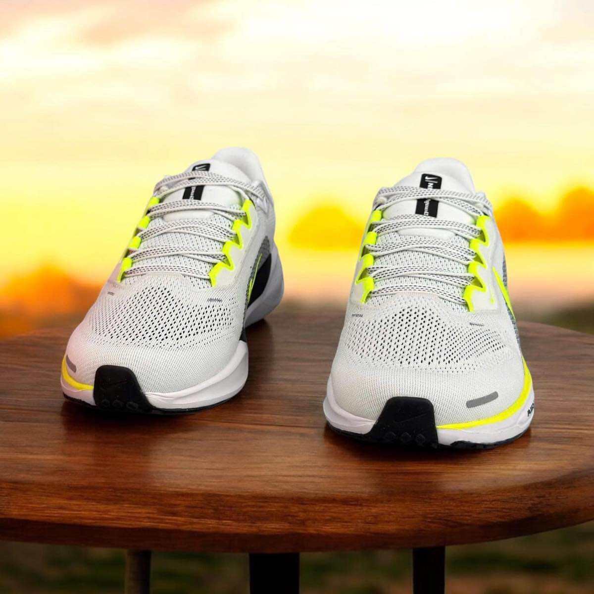 Giày Chạy bộ Nike pagesus 41. 