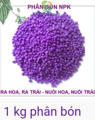 Phân NPK 16-12-8-11 + TE tím